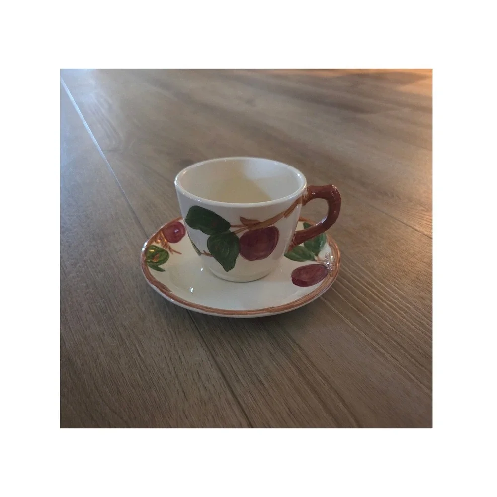 Franciscan Earthenware Apple Demitasse Cup and Saucer Set Vintage USA Made